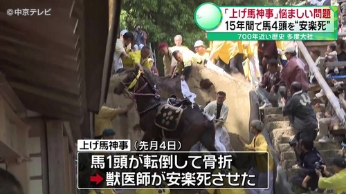 三重県馬を棒で叩きまくり安楽死させる多度大社のクソイベント上げ馬神事の関係者人超が刑事告発される多度大社主体は地元民だから俺達は関係ない