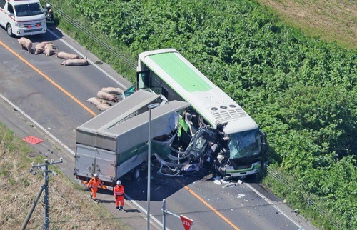 トラック運転手体調悪いです体調不良申告会社働けよ