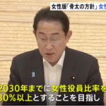 岸田政権年までに女性役員を割にどんな企業でも余裕で即達成可能だったｗｗｗｗｗｗｗｗｗｗｗ