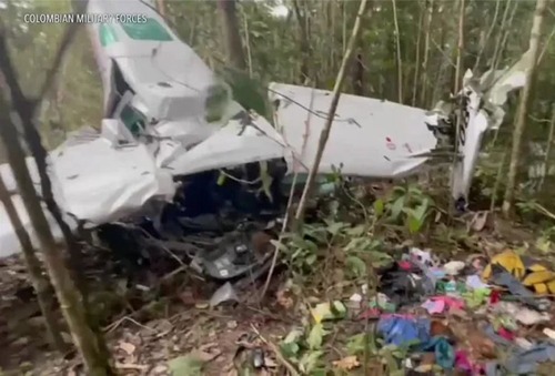 コロンビア墜落事故で13歳9歳4歳1歳の子供たちがアマゾンで40日間も生き延びる 海外の反応