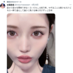 女性モデル武藤静香いい女度5000億万点UPマナー講座肘をついてフォークを上にして批判殺到武藤静香それ私目の前にいても言えるのあなたより確実に育ちよいんだよなぁw