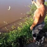 魚を釣ったつもりが猫が釣れるとき動画