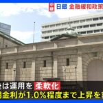 飛ばしでなくリークだった植田日銀の金融緩和政策修正、株価も為替も今年最大のアホ乱高下