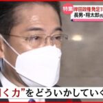 【サラリーマン増税】政府税制調査会「退職金　通勤手当　配偶者控除　扶養控除　保険料控除　EV　燃料電池車　奨学金　遺族年金　失業等給付　NISA　増税すべき」岸田「聞く力！」