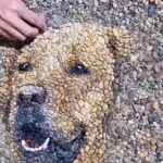 小石を並べてリアルな犬を描いたタイムラプスで見る製作過程動画