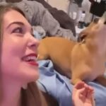 女性が美声で歌うと…犬がデュエットしてくれた！（動画）