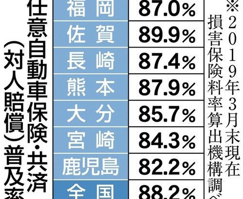 ワイ、無保険車のDQNに轢かれる