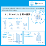 処理水騒動で文系学者が「トリチウムの生体濃縮」を唱え始め文系の頭の悪さに日本中が衝撃