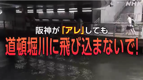 【阪神優勝】道頓堀ダイブしたい人達に専門家が警告「トイレの便器にたまっている水の中を泳ぐようなもの」→道頓堀ダイブ始まる