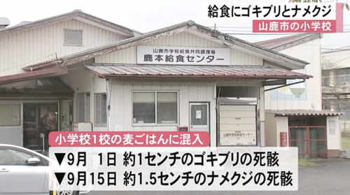 【熊本】給食のご飯にゴキブリとナメクジの死骸が混入しているのを配膳中の児童が見つける