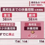 【異次元の少子化対策】自民党による扶養控除縮小議論がテレビでも報道され始める　子育て世代激怒し炎上が止まらず総理補佐官からも異議が飛び出す