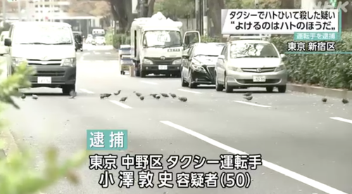 タクシー運転手「道路は人間のもの」と鳩を轢き殺し逮捕