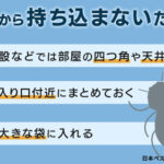 【トコジラミ警報】SHEINやQoo10等の中国・韓国の通販の段ボールからトコジラミが発生中←トコジラミは地獄だからガチで気をつけろ