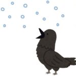 「カラスって、こんなリアクションするんだ…」雪が降って大はしゃぎ