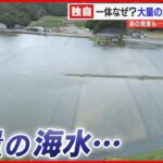 ヤマウ、子会社が大量の海水を農地に流入させる現場猫案件をやらかした件でお詫び