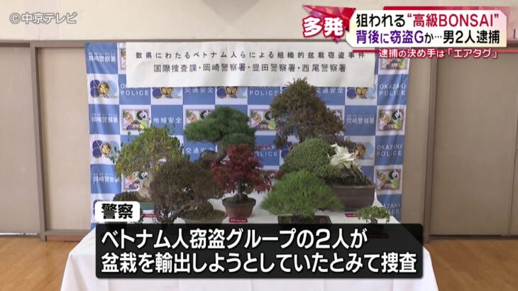 【岸田の宝】外国人留学生のせいで盆栽すら外に置けない時代に