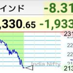 インド株、モディショックに見舞われてチャートにインド半島を描く