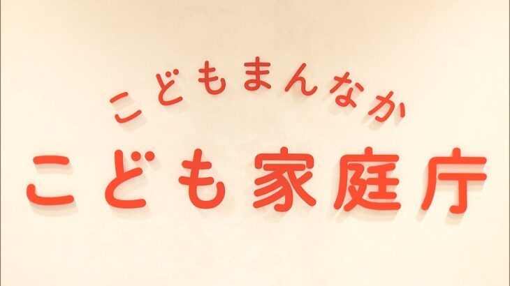 【異次元の少子化対策】こども家庭庁　税金で婚活支援を２０２５年から実施へ←無意味すぎると大炎上