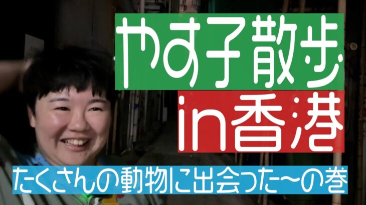 【日テレ２４時間テレビ】やす子の募金マラソン企画　放送法違反で終わりそう