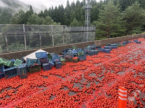 東北道　トマト