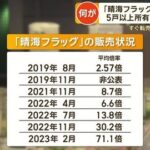 靴卸売屋の東邦レマック、晴海フラッグの短期転売で1600万円ほど儲ける