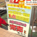 令和のプチ米騒動、テレビで不安を煽って騒ぎ立てたのが決定打か