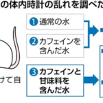 【魔剤警報】甘いカフェイン飲料　昼夜逆転し生活リズムがぶっ壊れるリスクがある事が判明