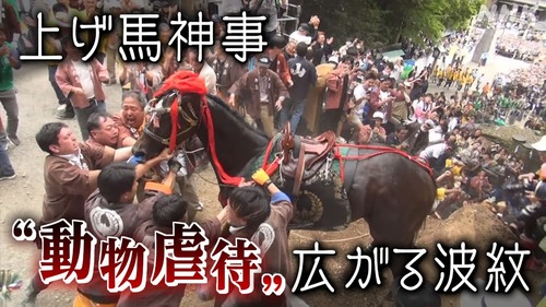 【三重県】馬を棒で叩きまくり殺す多度大社のクソイベント『上げ馬神事』関係者１２人が動物愛護法違反の疑いで書類送検される